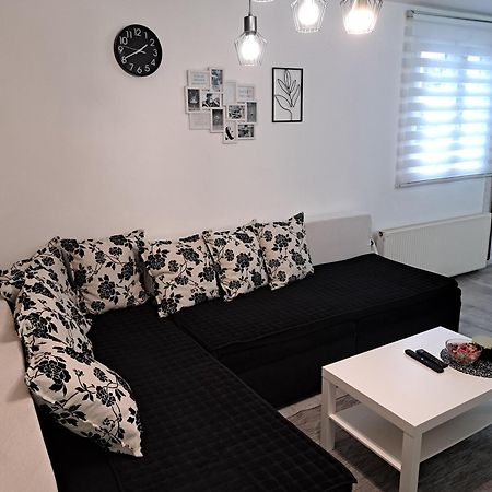 Stefan Apartman نوفي ساد المظهر الخارجي الصورة